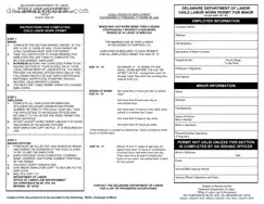 Free Delaware Work Permit PDF Template